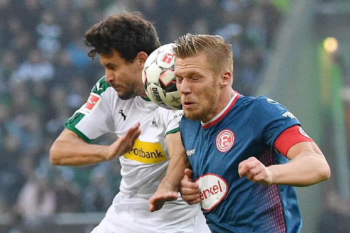 白茶品鉴 白茶品鉴