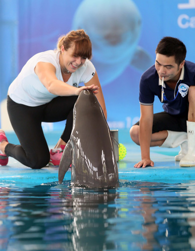 aS采购流 aS采购流